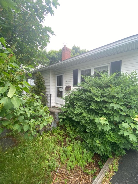 16 Polina Road